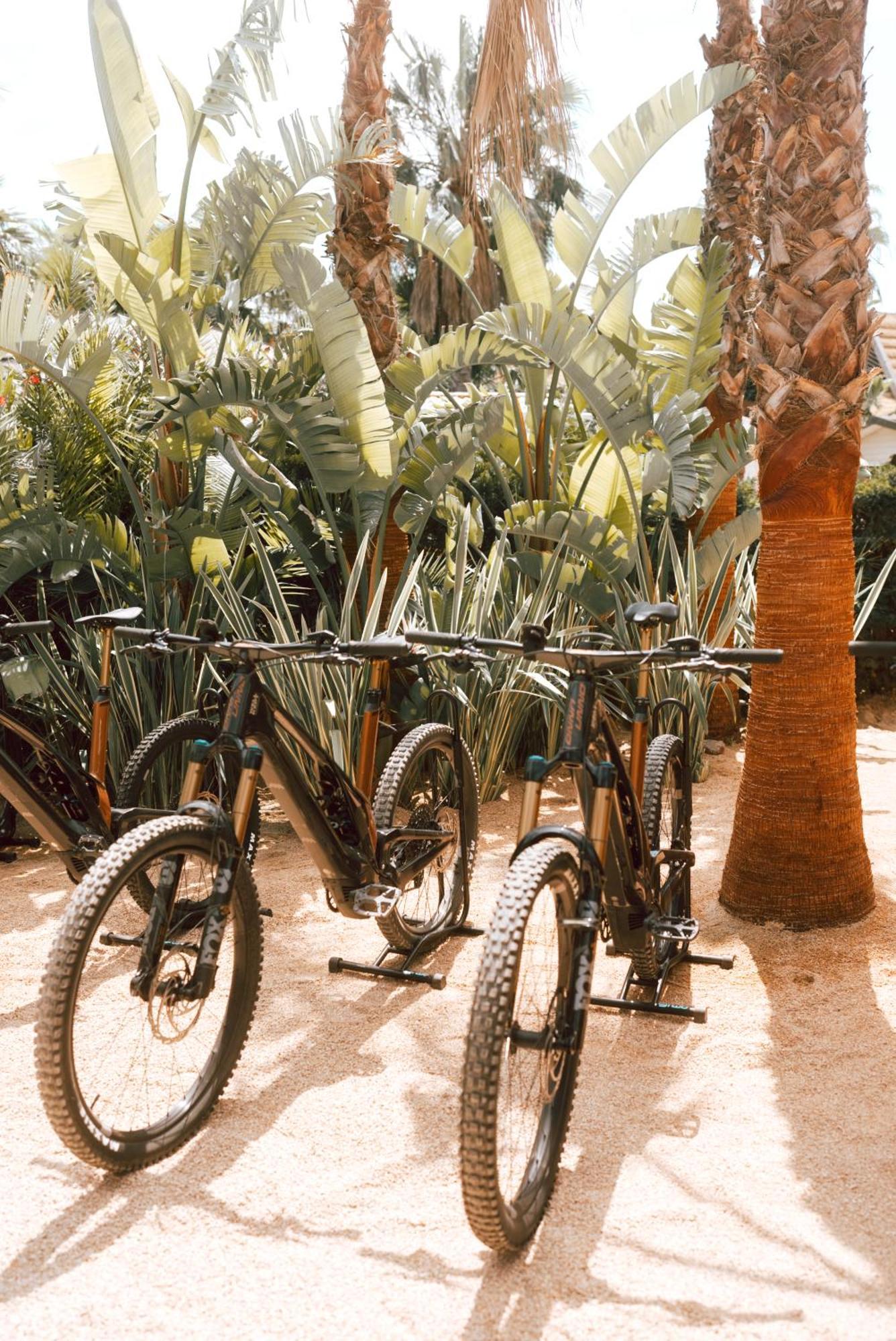מלון רמטואל Toison D'Or מראה חיצוני תמונה Bicycles at the Desert Botanical Gardens